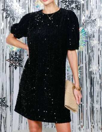 Black Sequin Velvet Detail  Dress